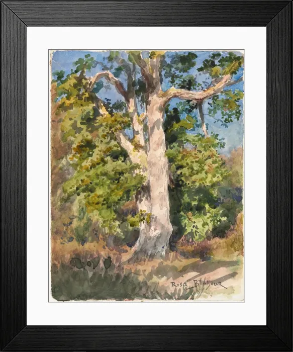 Framed Print : Tree Study. Creator: Rosa Bonheur (French, 1822-1899) Framed Print : Tree Study. Creator: Rosa Bonheur (French, 1822-1899)