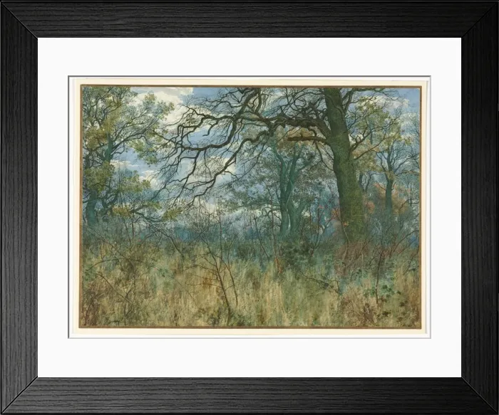 Framed Print : Trees and Undergrowth, 1885. Creator: Garden William Fraser (British, 1856-1921) Framed Print : Trees and Undergrowth, 1885. Creator: Garden William Fraser (British, 1856-1921)