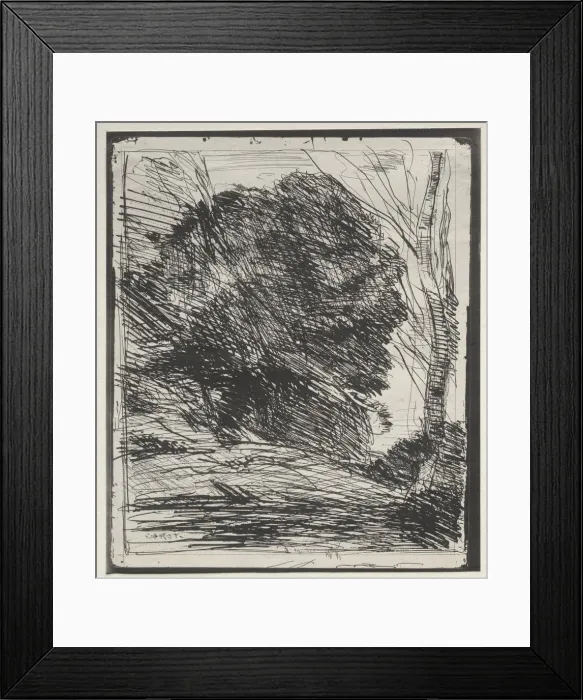 Framed Print : Trees on the Mountain, original impression 1856, printed in 1921 Framed Print : Trees on the Mountain, original impression 1856, printed in 1921