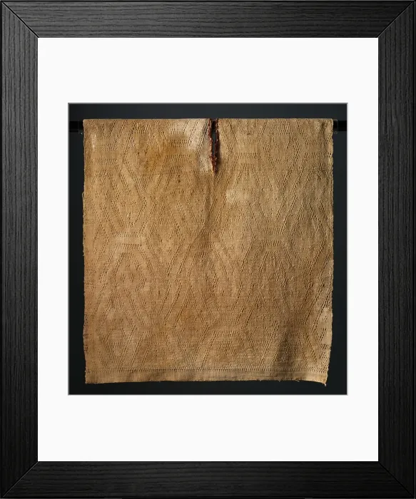 Framed Print : Tunic with Double-headed Serpents, 400-200 BC. Creator: Unknown Framed Print : Tunic with Double-headed Serpents, 400-200 BC. Creator: Unknown