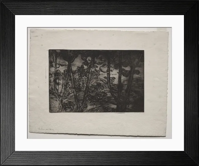 Framed Print : Trees at Night, c. 1894. Creator: Armand Seguin (French, 1869-1903) Framed Print : Trees at Night, c. 1894. Creator: Armand Seguin (French, 1869-1903)
