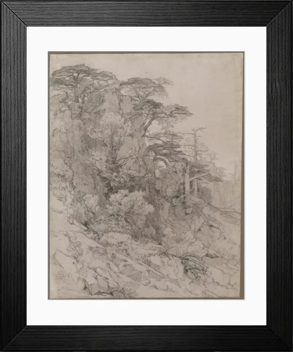Framed Print : Trees of a Rocky Hillside, late 1800s. Creator: Gustave Achille Guillaumet (French, 1840-1887) Framed Print : Trees of a Rocky Hillside, late 1800s. Creator: Gustave Achille Guillaumet (French, 1840-1887)