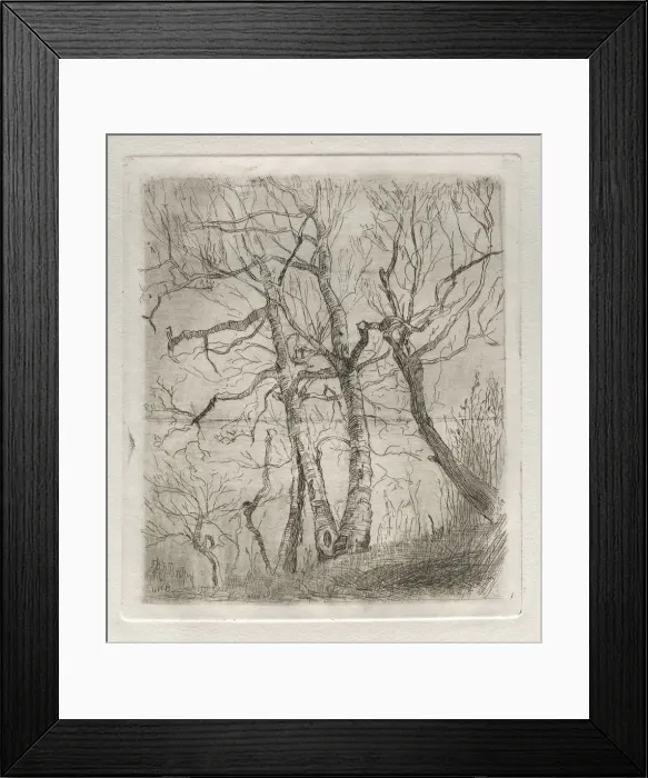 Framed Print : Trees, 1878. Creator: Otto H. Bacher (American, 1856-1909) Framed Print : Trees, 1878. Creator: Otto H. Bacher (American, 1856-1909)