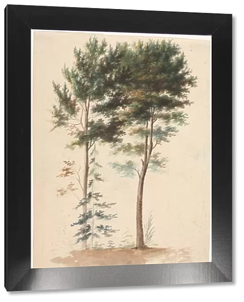 Trees, 1700s(?). Creator: Jean Baptiste Pillement (French, 1728-1808)