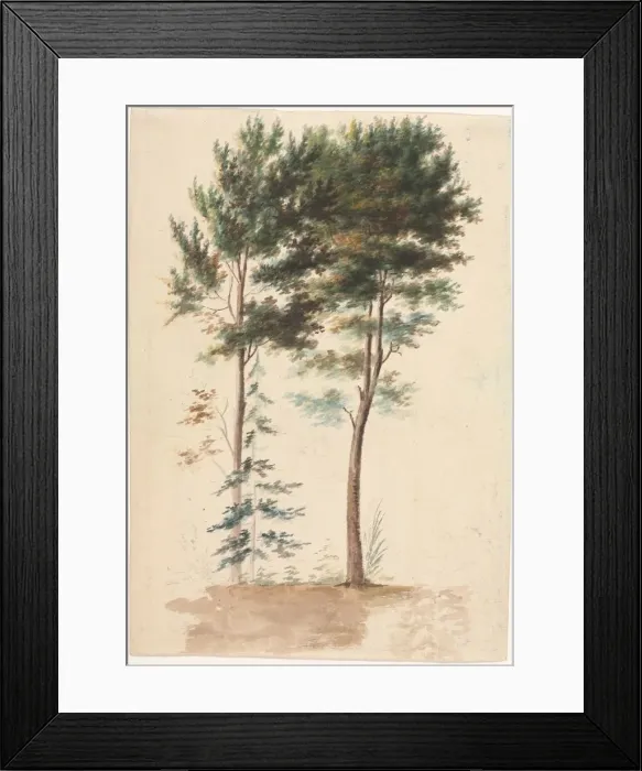 Framed Print : Trees, 1700s(?). Creator: Jean Baptiste Pillement (French, 1728-1808) Framed Print : Trees, 1700s(?). Creator: Jean Baptiste Pillement (French, 1728-1808)