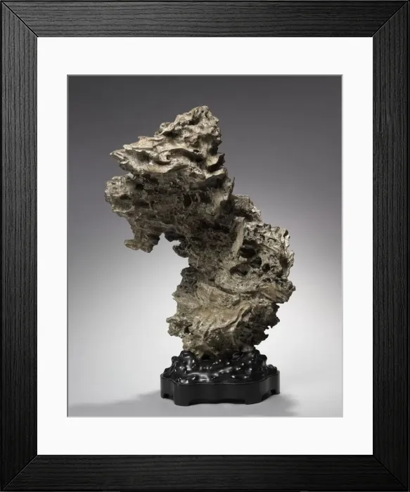 Framed Print : Tree Root, before 1800s. Creator: Unknown Framed Print : Tree Root, before 1800s. Creator: Unknown