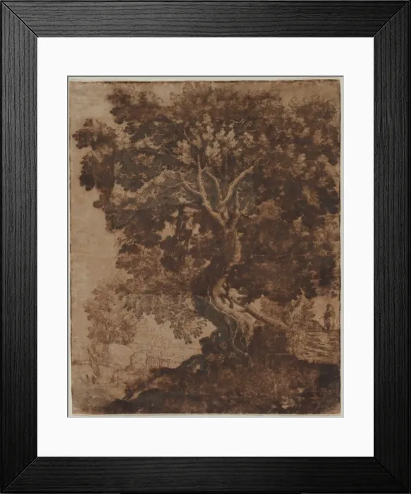 Framed Print : Tree in a Landscape, mid 17th century. Creator: Ercole Bazicaluva (Italian, c. 1610-1661) Framed Print : Tree in a Landscape, mid 17th century. Creator: Ercole Bazicaluva (Italian, c. 1610-1661)