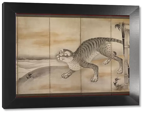 Tiger, early to mid-1600s. Creator: Soga Nichokuan (Japanese), attributed to