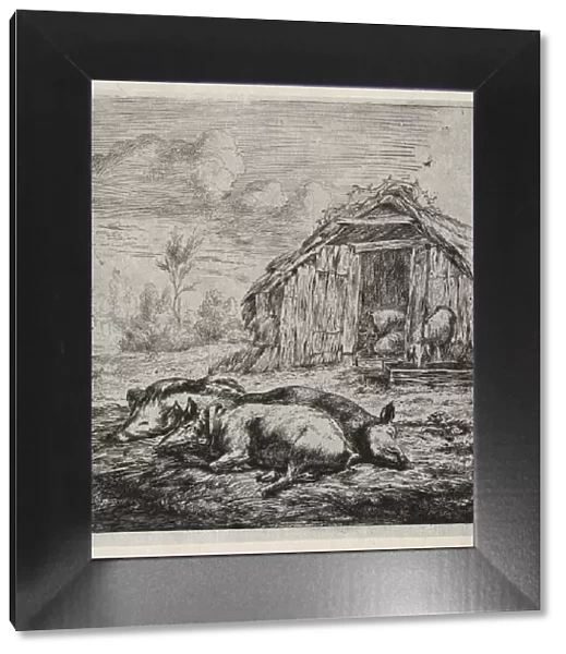 Three Swine Lying in Front of a Sty, 1850. Creator: Charles Meryon (French, 1821-1868)