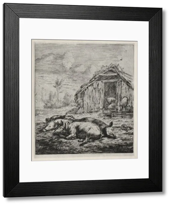 Framed Print : Three Swine Lying in Front of a Sty, 1850. Creator: Charles Meryon (French, 1821-1868) Framed Print : Three Swine Lying in Front of a Sty, 1850. Creator: Charles Meryon (French, 1821-1868)