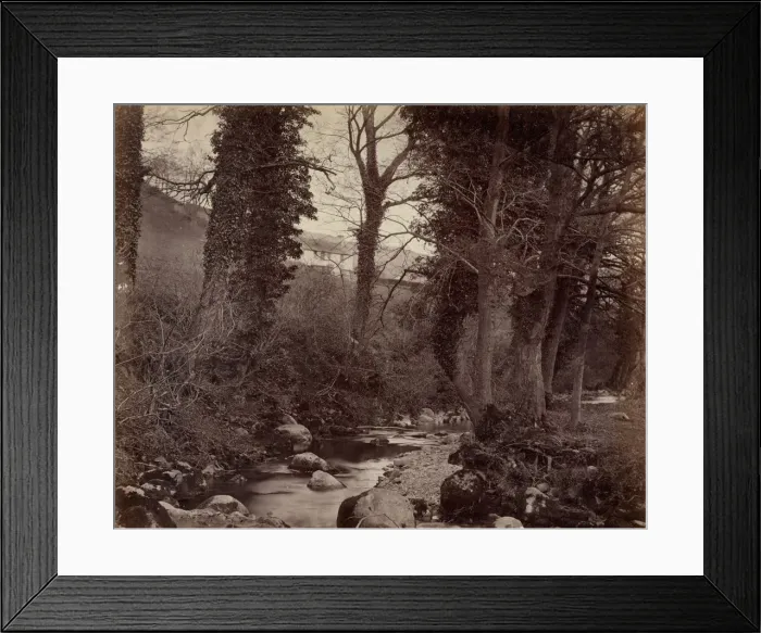 Framed Print : Untitled, c. 1859. Creator: John Lloyd (British, 1865) Framed Print : Untitled, c. 1859. Creator: John Lloyd (British, 1865)