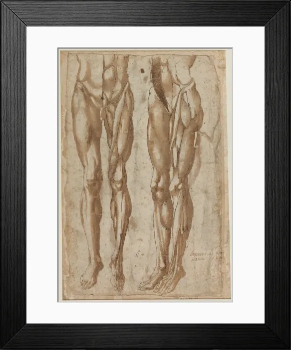 Framed Print : Two Studies of a Flayed Man, 1554. Creator: Bartolommeo da Arezzo (Italian, 1578) Framed Print : Two Studies of a Flayed Man, 1554. Creator: Bartolommeo da Arezzo (Italian, 1578)