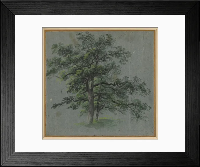 Framed Print : Two Trees, first half 1800s. Creator: Johann Jacob Dorner (German, 1775-1852) Framed Print : Two Trees, first half 1800s. Creator: Johann Jacob Dorner (German, 1775-1852)
