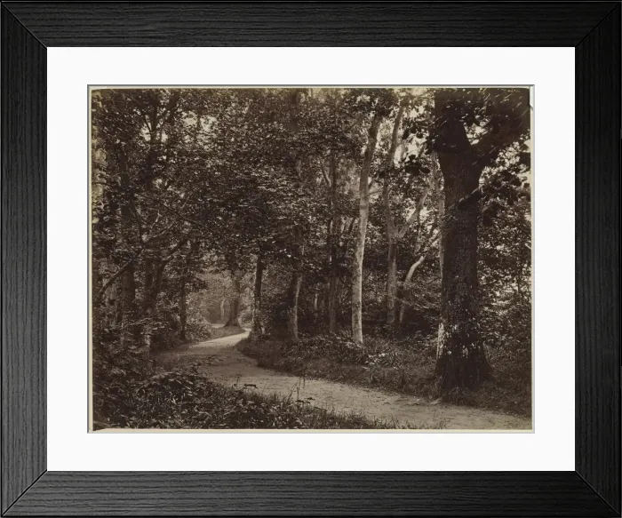 Framed Print : Untitled (Landscape), early 1860s. Creator: Unidentified Photographer Framed Print : Untitled (Landscape), early 1860s. Creator: Unidentified Photographer