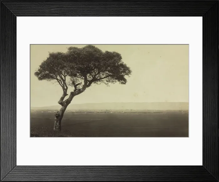 Framed Print : Untitled (Landscape near Watsonville, California), c. 1879. Creator: Eadweard J. Muybridge Framed Print : Untitled (Landscape near Watsonville, California), c. 1879. Creator: Eadweard J. Muybridge