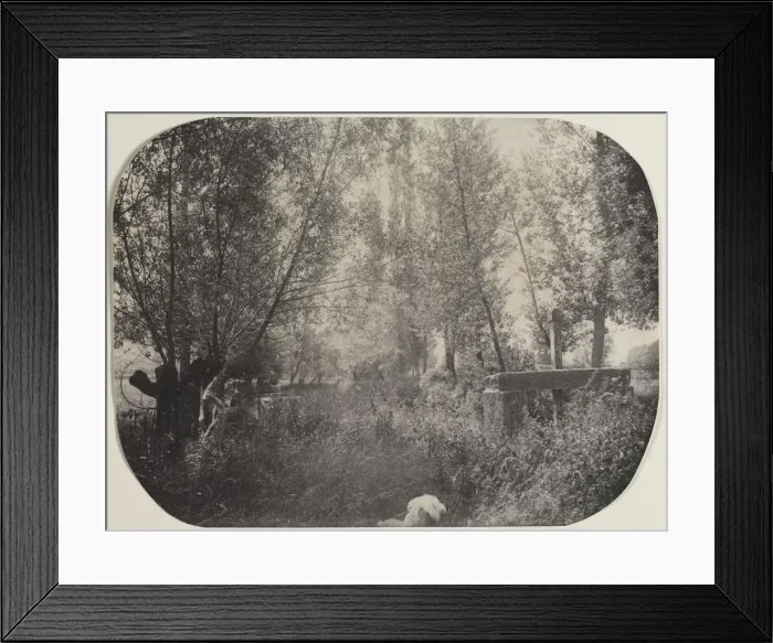 Framed Print : Untitled (Landscape with Dog), c. 1910. Creator: Unidentified Photographer Framed Print : Untitled (Landscape with Dog), c. 1910. Creator: Unidentified Photographer