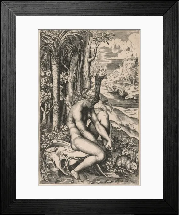 Framed Print : Venus Wounded by a Roses Thorn, c. 1516 Framed Print : Venus Wounded by a Roses Thorn, c. 1516