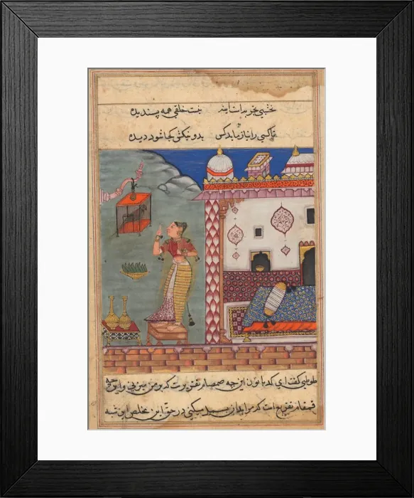 Framed Print : The parrot addresses Khujasta at the beginning of the twenty-seventh night, recto of folio 185 Framed Print : The parrot addresses Khujasta at the beginning of the twenty-seventh night, recto of folio 185