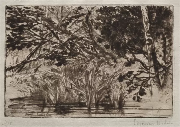 The Mouth of a Brook (Second Plate). Creator: Francis Seymour Haden (British, 1818-1910)