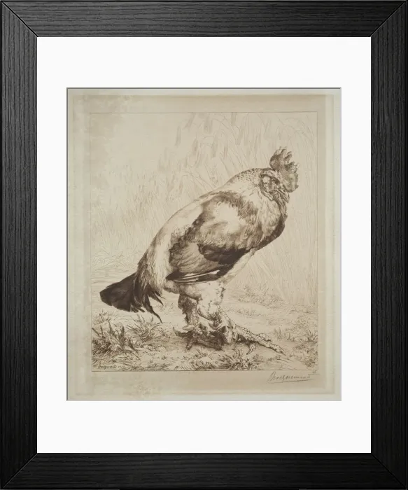 Framed Print : The Old Cock, 1882. Creator: Felix Bracquemond (French, 1833-1914); Messrs. Dowdeswell Framed Print : The Old Cock, 1882. Creator: Felix Bracquemond (French, 1833-1914); Messrs. Dowdeswell