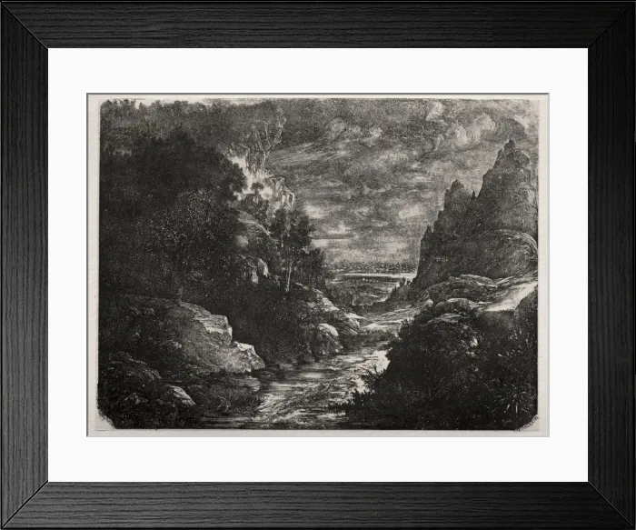Framed Print : The Mountain Stream, 1871. Creator: Rodolphe Bresdin (French, 1822-1885) Framed Print : The Mountain Stream, 1871. Creator: Rodolphe Bresdin (French, 1822-1885)