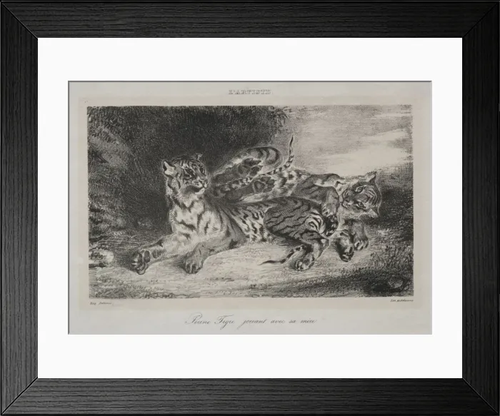 Framed Print : Young Tiger Playing with its Mother, 1831. Creator: Eugene Delacroix (French, 1798-1863) Framed Print : Young Tiger Playing with its Mother, 1831. Creator: Eugene Delacroix (French, 1798-1863)