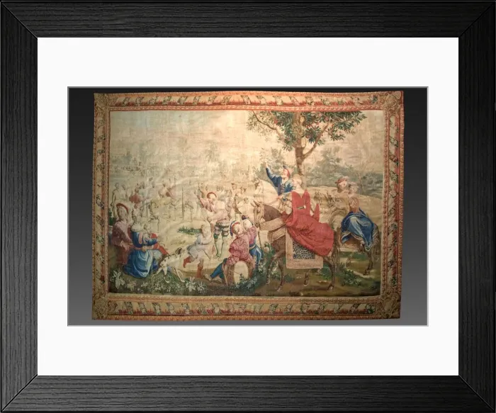 Framed Print : Creator: Gobelins (French); Michel Audran (French, 1701-1771) Framed Print : Creator: Gobelins (French); Michel Audran (French, 1701-1771)
