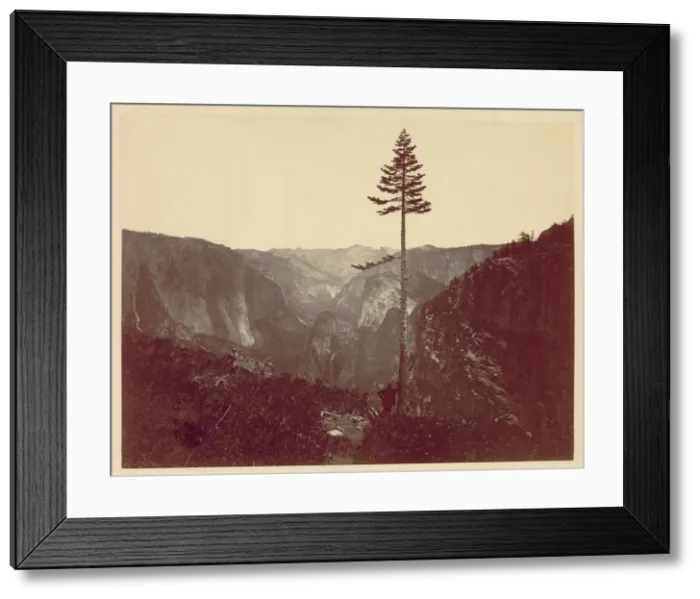 Framed Print : Yosemite Valley from Mariposa Trail, c. 1865. Creator: Charles Leander Weed (American, 1824-1903) Framed Print : Yosemite Valley from Mariposa Trail, c. 1865. Creator: Charles Leander Weed (American, 1824-1903)