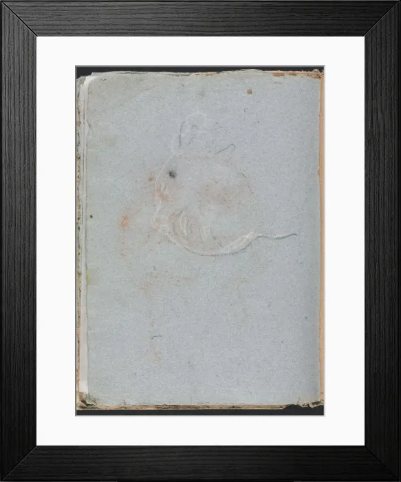 Framed Print : Verona Sketchbook: Head (page 30), 1760. Creator: Francesco Lorenzi (Italian, 1723-1787) Framed Print : Verona Sketchbook: Head (page 30), 1760. Creator: Francesco Lorenzi (Italian, 1723-1787)