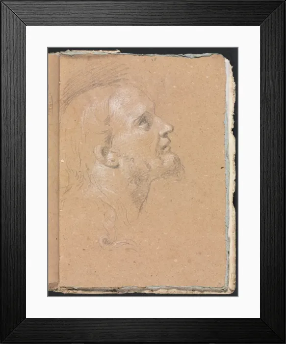 Framed Print : Verona Sketchbook: Male head in profile (page 91), 1760. Creator: Francesco Lorenzi (Italian Framed Print : Verona Sketchbook: Male head in profile (page 91), 1760. Creator: Francesco Lorenzi (Italian