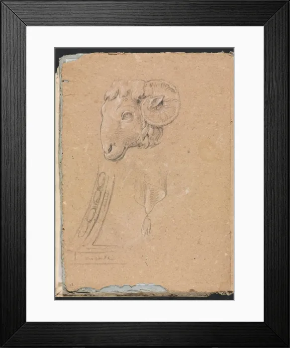 Framed Print : Verona Sketchbook: Rams head (page12), 1760. Creator: Francesco Lorenzi (Italian, 1723-1787) Framed Print : Verona Sketchbook: Rams head (page12), 1760. Creator: Francesco Lorenzi (Italian, 1723-1787)