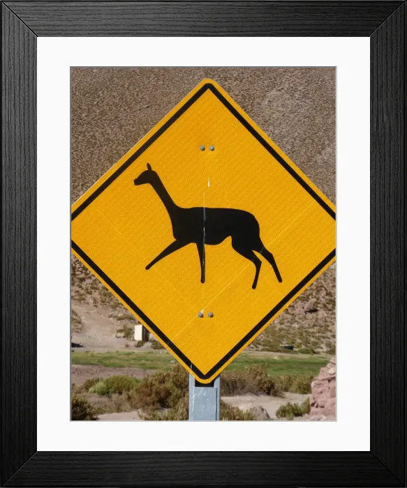 Framed Print : Llama warning road sign in Chile 2019. Creator: Unknown Framed Print : Llama warning road sign in Chile 2019. Creator: Unknown
