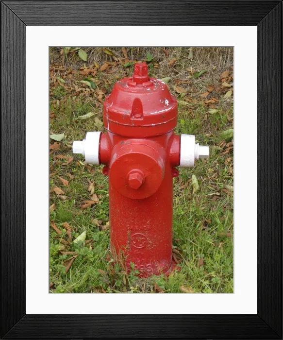 Framed Print : Fire Hydrant in British Columbia, Canada. Creator: Unknown Framed Print : Fire Hydrant in British Columbia, Canada. Creator: Unknown