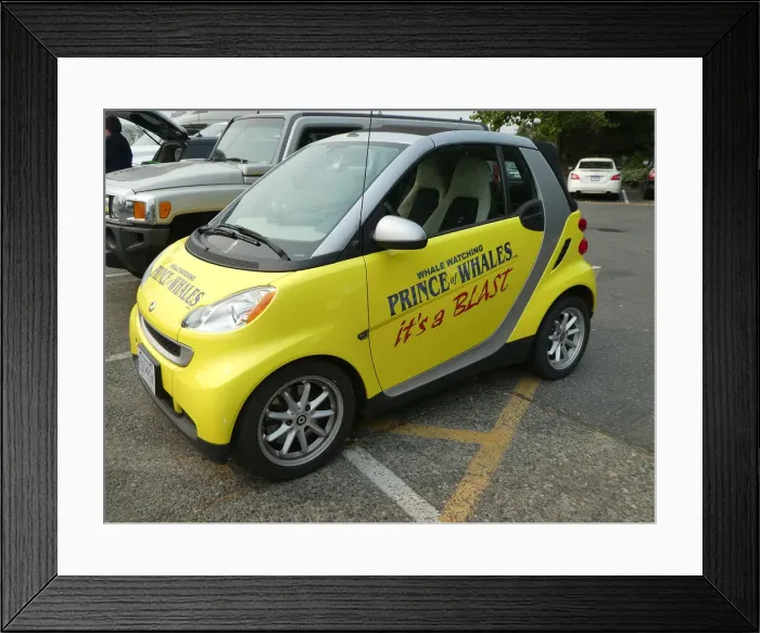 Framed Print : Smart car promoting whale watching business in British Columbia, Canada. Creator: Unknown Framed Print : Smart car promoting whale watching business in British Columbia, Canada. Creator: Unknown