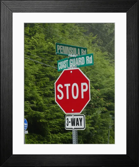 Framed Print : Stop road sign, British Columbia, Canada 2018. Creator: Unknown Framed Print : Stop road sign, British Columbia, Canada 2018. Creator: Unknown