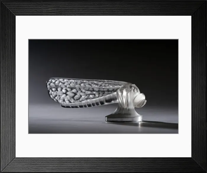 Framed Print : Libellule, small, Lalique mascot. Creator: Unknown Framed Print : Libellule, small, Lalique mascot. Creator: Unknown