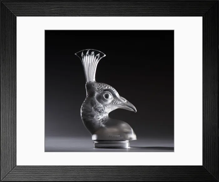Framed Print : Tete de Paon Lalique mascot. Creator: Unknown Framed Print : Tete de Paon Lalique mascot. Creator: Unknown