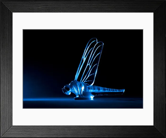 Framed Print : Libellule Lalique mascot, large. Creator: Unknown Framed Print : Libellule Lalique mascot, large. Creator: Unknown