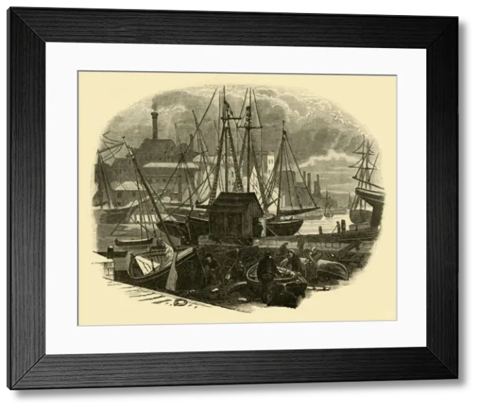 Framed Print : Poole Harbour, 1898. Creator: Unknown Framed Print : Poole Harbour, 1898. Creator: Unknown