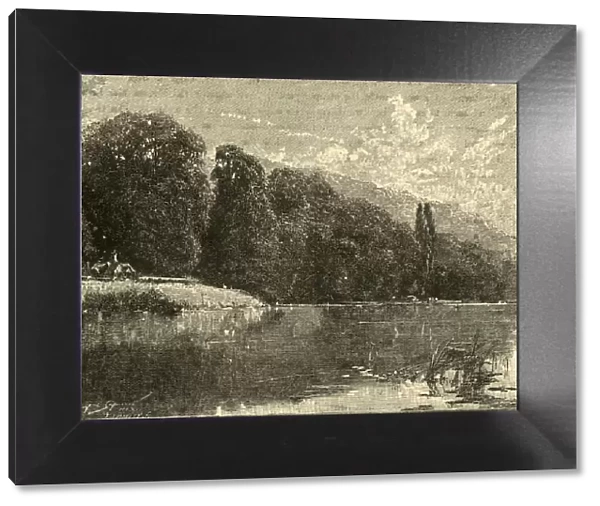 Cliefden Woods, 1898. Creator: Unknown