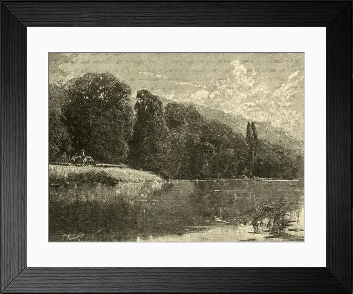 Framed Print : Cliefden Woods, 1898. Creator: Unknown Framed Print : Cliefden Woods, 1898. Creator: Unknown
