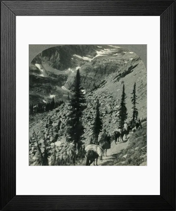 Framed Print : Verdure and Snowbanks along the Trail to Lincoln Pass, Glacier Nat. Park, Mont. c1930s Framed Print : Verdure and Snowbanks along the Trail to Lincoln Pass, Glacier Nat. Park, Mont. c1930s