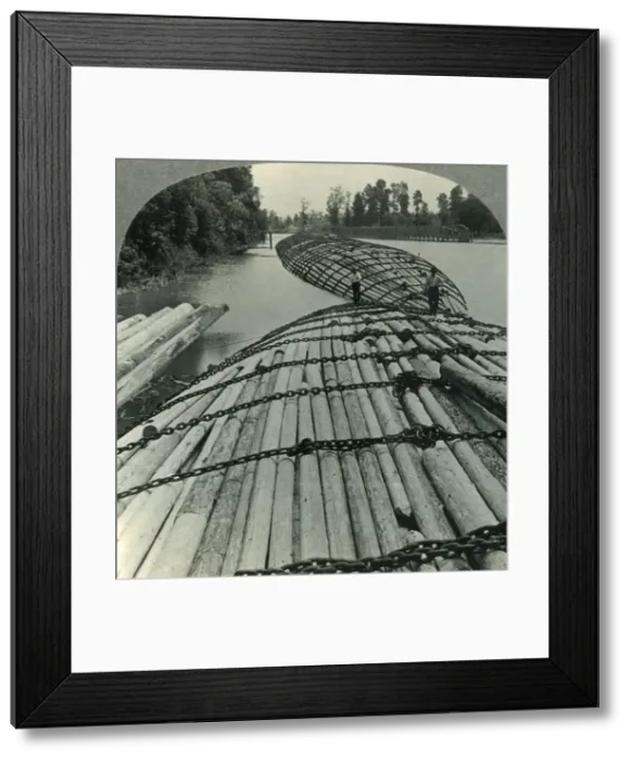 Framed Print : Great Chained Log Rafts on the Columbia River, Wash. c1930s. Creator: Unknown Framed Print : Great Chained Log Rafts on the Columbia River, Wash. c1930s. Creator: Unknown