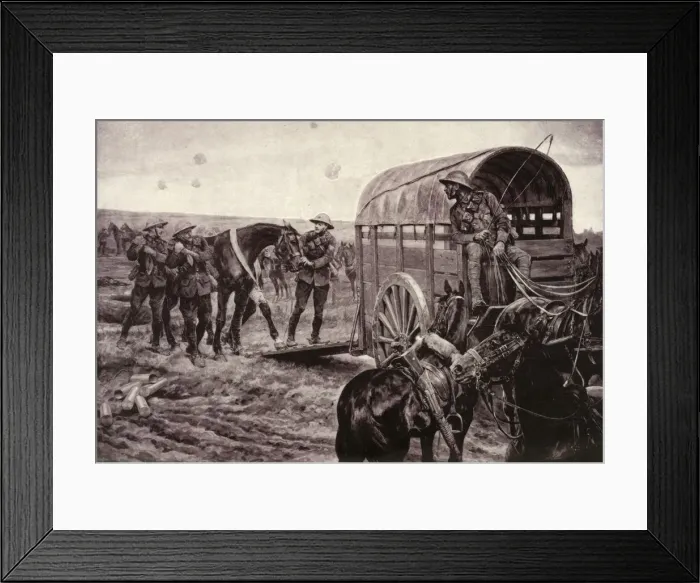 Framed Print : Under the Blue Cross: Wounded Horses Being Conveyed to the Veterinary Hospital, 1917 Framed Print : Under the Blue Cross: Wounded Horses Being Conveyed to the Veterinary Hospital, 1917