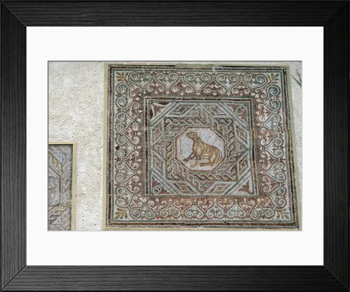 Framed Print : Algeria, Djemila, mosaic Framed Print : Algeria, Djemila, mosaic