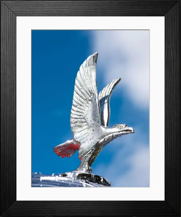 Framed Print : Alvis mascot. Creator: Unknown Framed Print : Alvis mascot. Creator: Unknown
