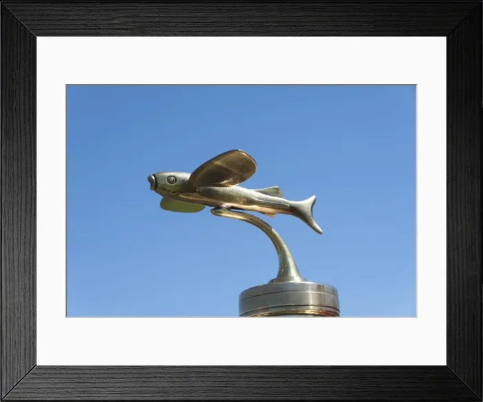 Framed Print : 1909 Paterson Flying Fish mascot. Creator: Unknown Framed Print : 1909 Paterson Flying Fish mascot. Creator: Unknown