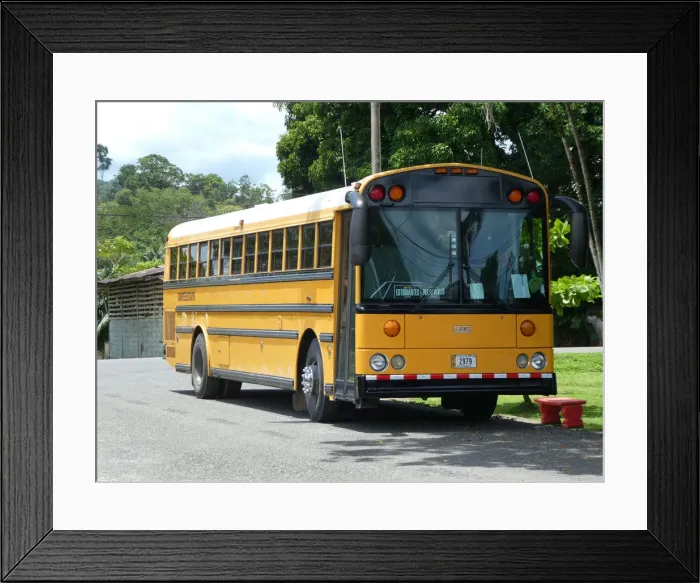 Framed Print : Thomas Built school bus, Costa Rica 2018. Creator: Unknown Framed Print : Thomas Built school bus, Costa Rica 2018. Creator: Unknown