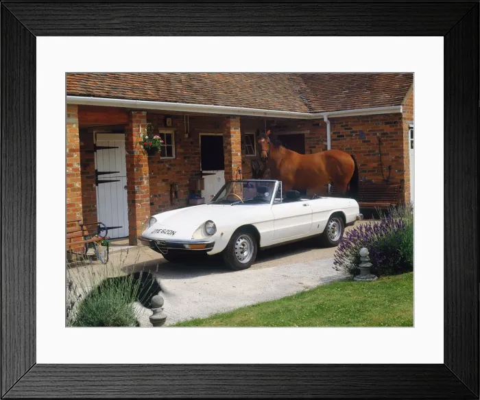 Framed Print : 1974 Alfa Romeo Spyder. Creator: Unknown Framed Print : 1974 Alfa Romeo Spyder. Creator: Unknown