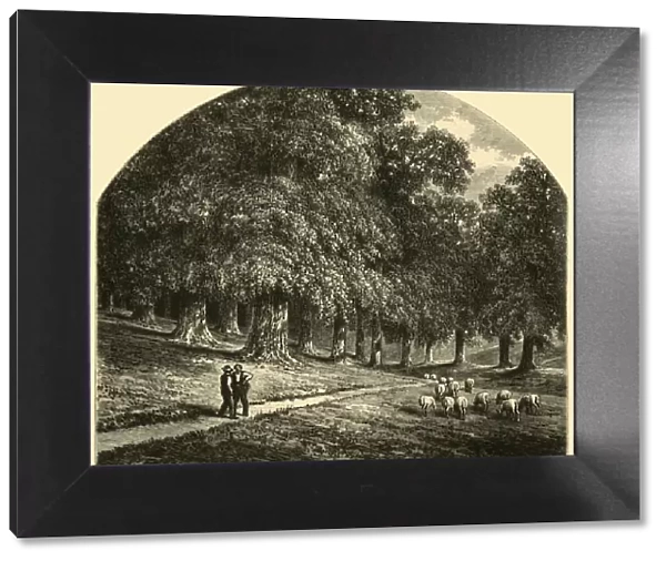 Druid-Hill Park, 1874. Creator: John Filmer